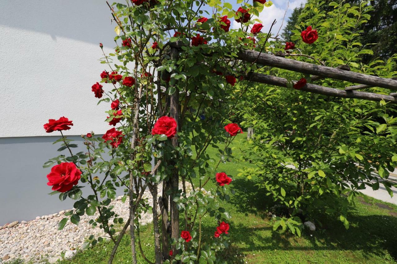 Adventure Cottage With Pool And Big Garden Bled Kültér fotó